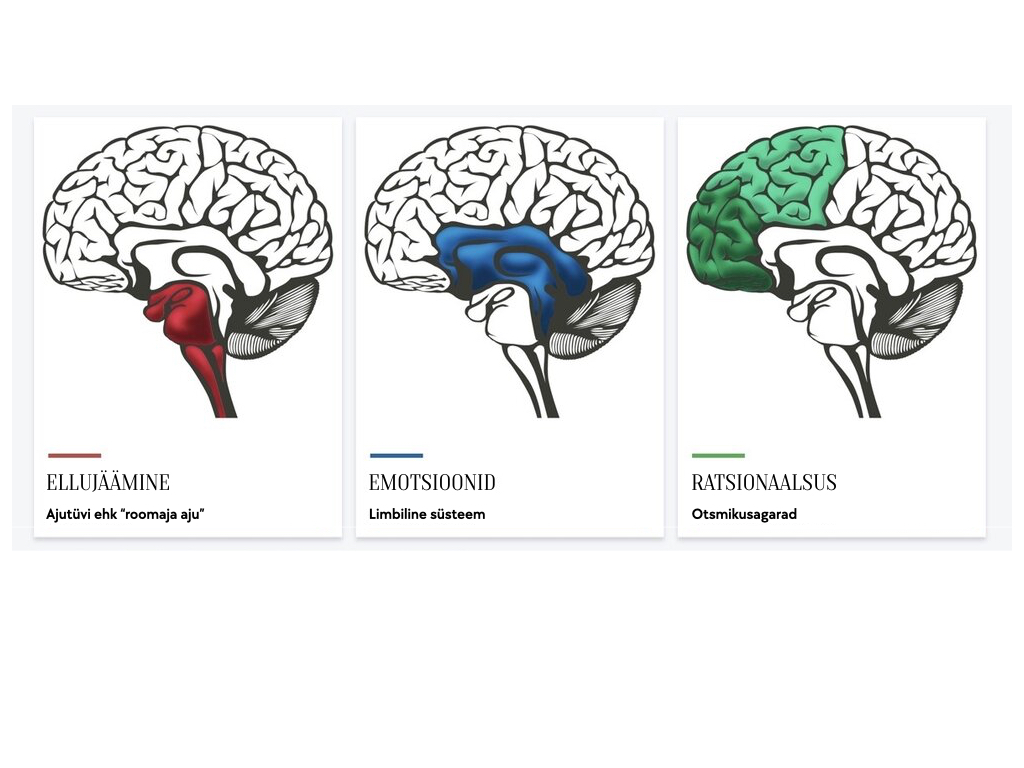 Fotol on kolm erineva funktsiooniga aju osa. Roomaja aju, mis vasutatab elujäämise eest. Limbiline aju, mis vastutab emotsioonide eest ja otsmikusagarad, mis vastutavad ratsionaalse mõtlemise eest